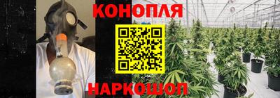 каннабис Новодвинск