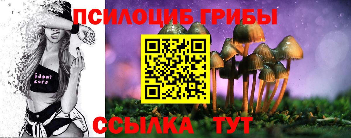 Псилоцибиновые грибы Psilocybe Рубцовск